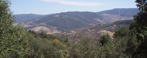  Kasserine: Démantèlement d'une cellule terroriste