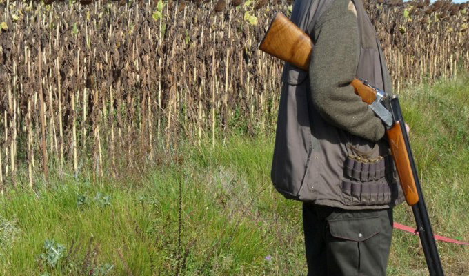 Interdiction de la chasse, le 15 octobre, dans les gouvernorats de l’Ariana et de Bizerte
