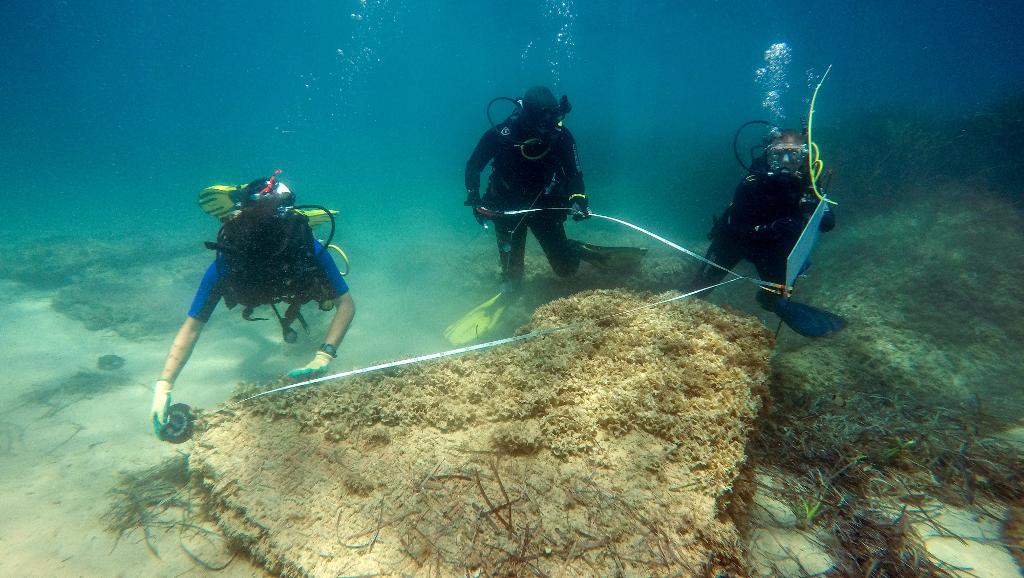 Découverte d’une cité romaine sous la mer près de Nabeul