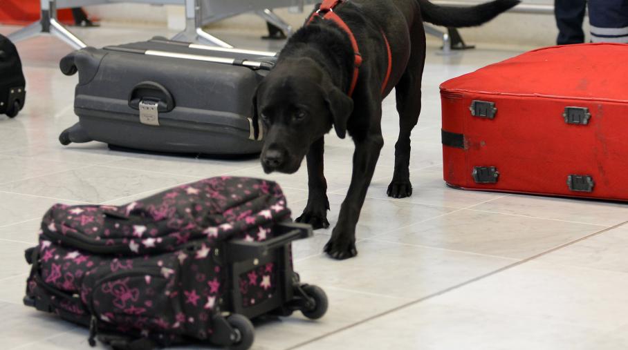 15 kilos de cocaïne dans une valise abandonnée à Orly