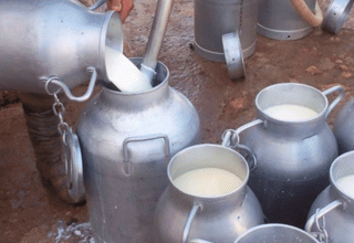 La Chambre des centres de collecte de lait menace d’une grève de 3 jours à partir du 27 octobre