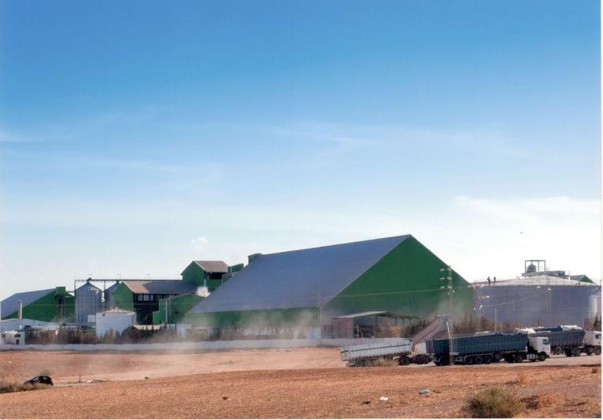 L'expansion prometteuse de la culture du colza en Tunisie