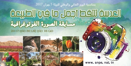 ANPE : Un concours photos pour dévoiler la beauté des paysages de la Tunisie