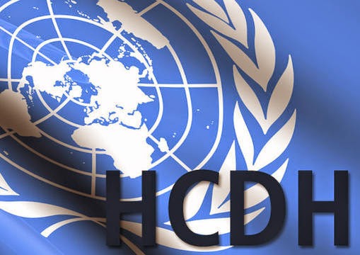 Le CDH tient une réunion-débat sur le droit à la vie privée à l'ère du numérique