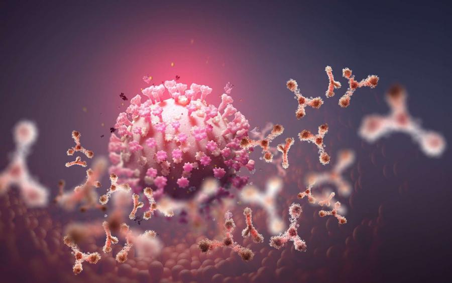 Covid : ”La nouvelle souche se propage rapidement et de nouvelles mesures doivent être prises pour éviter son émergence en Tunisie” 