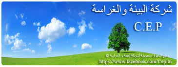 Des dizaines de milliards pour des sociétés « fictives »