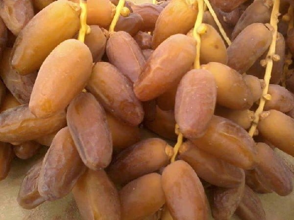 Tunisie: Les exportations de dattes en hausse de 1,8%