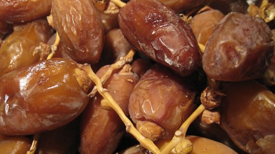 Exportations record de dattes tunisiennes: Plus de 700 millions DT de recettes