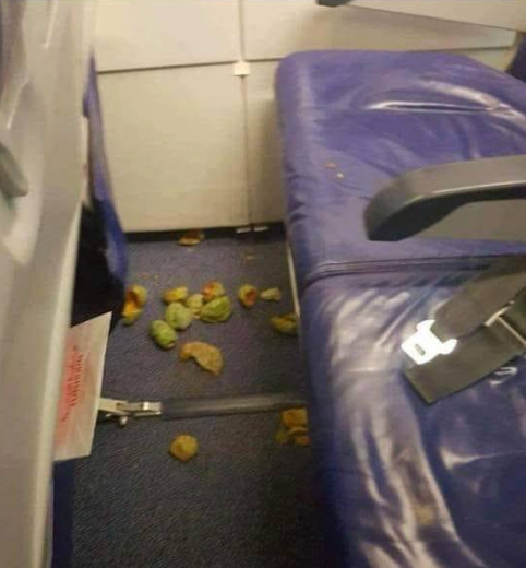 Honteux: Un passager de Tunisair laisse les déchets de figues de barbarie devant son siège