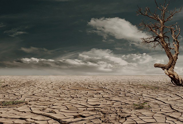 L’ONU appelle à aider le Sahel à faire face au changement climatique