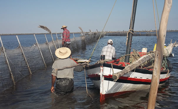Le ministère de l'Agriculture et les hors-la-loi cherchent-ils à éliminer la pêche artisanale en Tunisie ?
