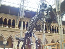 Tunisie: Découverte d'un squelette de dinosaure datant de 150 millions d'années