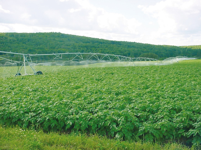 Consultation nationale sur les terres domaniales 