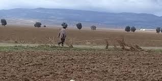 Cession de terrains domaniaux dans 5 gouvernorats pour les logements sociaux