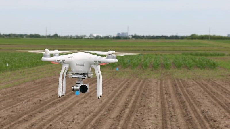 Incendies en Tunisie: Des drones pour surveiller les champs de céréales