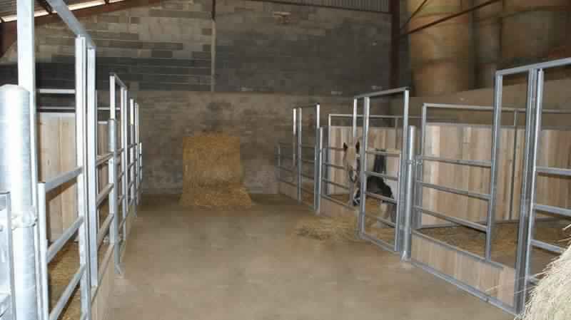 Depuis son jeune âge, une femme partage l’écurie avec les animaux!