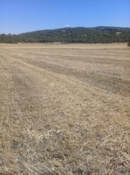 Le ministère des Domaines de l'Etat récupère un terrain domanial de 5 ha à Siliana