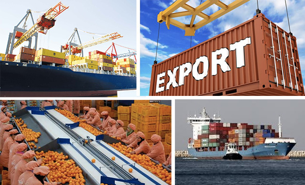 Baisse de 4,5% du volume des exportations tunisiennes (11 mois 2019)