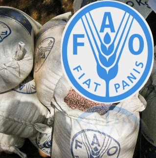 FAO: 37 pays ont besoin d'une aide alimentaire externe