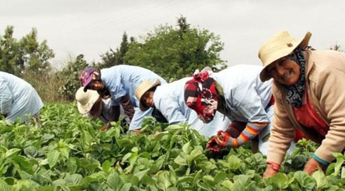 Autonomisation économique: 3800 femmes bénéficiaires des programmes