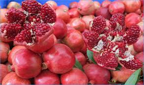 GIFruits : L’exportation des fruits vers la Libye reprend son rythme régulier