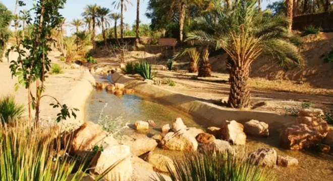 Gabès : Les préparatifs pour la nouvelle saison touristique saharienne