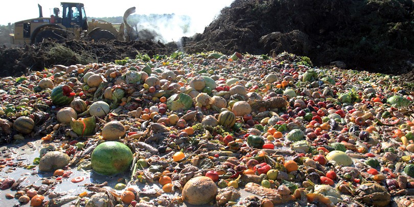 Une charte nationale pour la lutte contre le gaspillage alimentaire