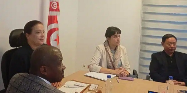 Industrie automobile: Le géant chinois Gritsil s'intéresse à la Tunisie