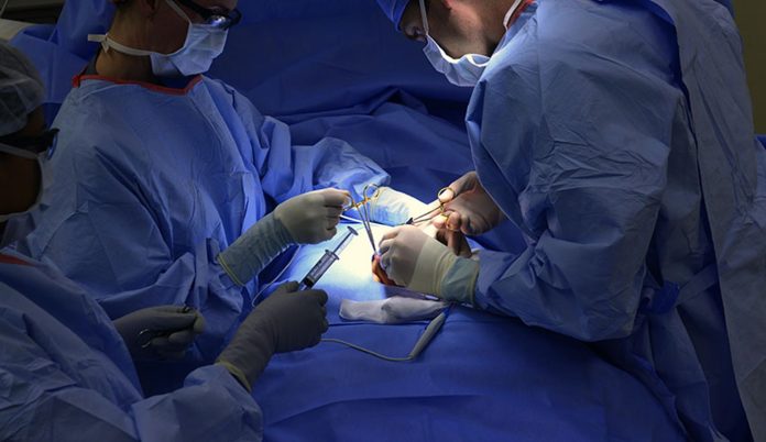 Quatre greffes d’organes à partir d’un seul donneur sauvent quatre patients