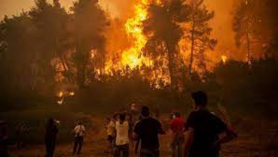 Grèce: Plus de 100.000 hectares ravagés en deux semaines