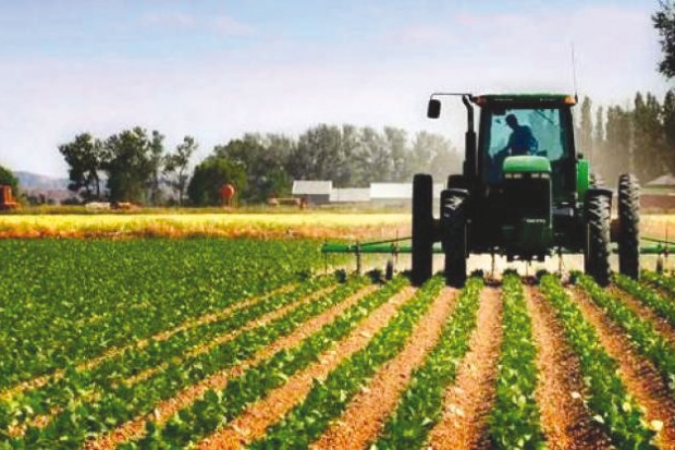 Tunisie: Les investissements agricoles privés en régression de 31,8%