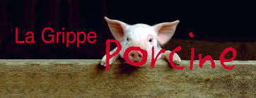 La grippe porcine a fait 7 victimes