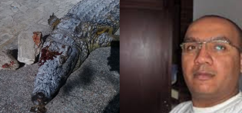 "Pour les Tunisiens, un crocodile est plus important qu'un anesthésiste"