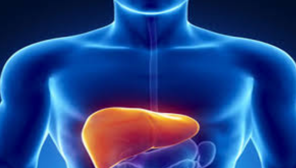 2 décès et 85 cas d'hépatite A à Sidi Bouzid