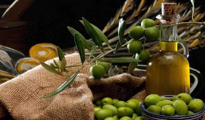 Récolte record d’huile d’olive : près de 350 mille tonnes, attendue pour cette campagne