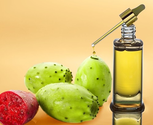 Pampat Tunisie : Les exportations des produits extraits de la figue de Barbarie en hausse de 89%