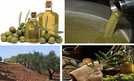 Huile d’olive : les exportations de la saison 2019-20 généreront plus de 2 milliards de dinars