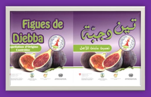 La Figue de Djebba fait son show en Tunisie et à l'étranger !