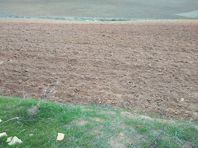 Le ministère des domaines de l'Etat récupère un terrain domanial agricole à Kalâat el Andalous.