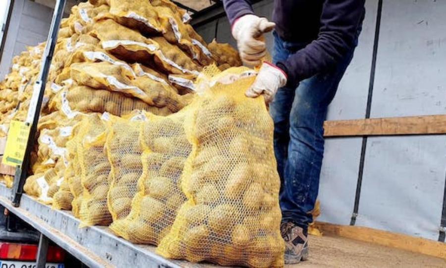Légumes importés: Le ministère de l’Agriculture affirme avoir entrepris toutes les mesures sanitaires et de contrôle nécessaires