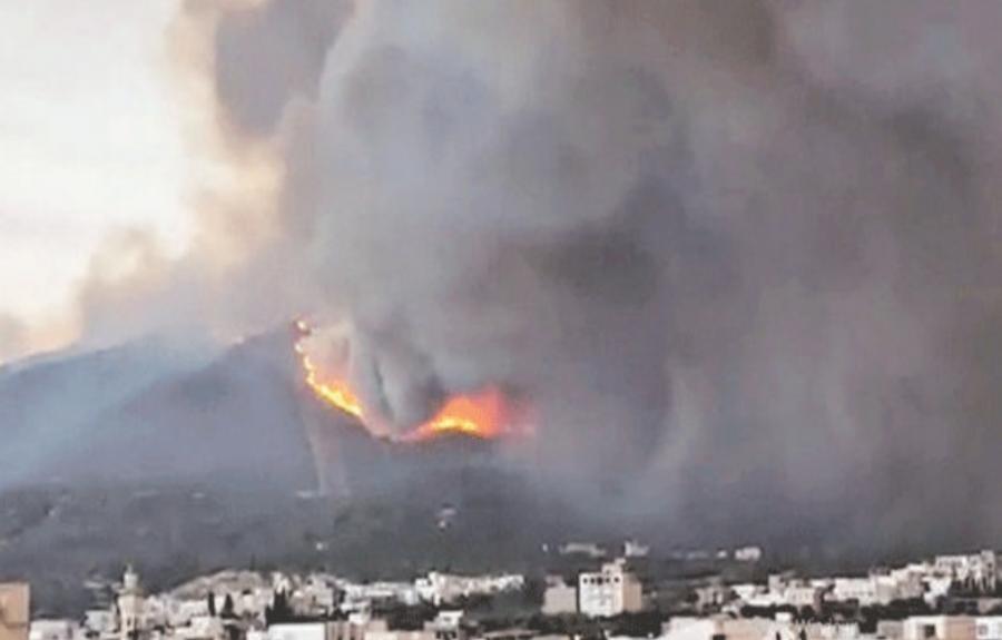 Un incendie ravage 200 ha à Jebel Mansour au gouvernorat de Zaghouan