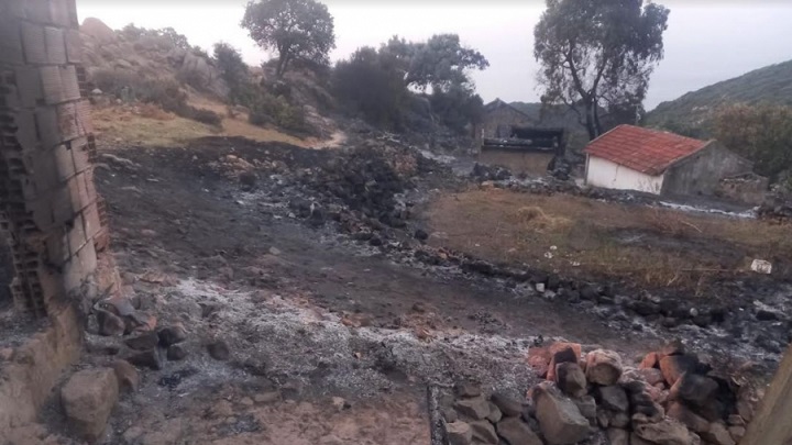Incendie de la forêt de Malloula: Sept familles évacuées à Tabarka