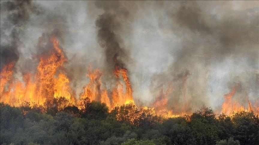 Incendies en Algérie: Un bénévole pris pour un pyromane brûlé vif par une foule en furie