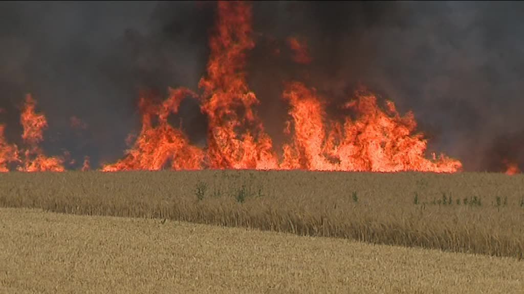 Tunisie: Plus de 100 incendies maîtrisés en une journée