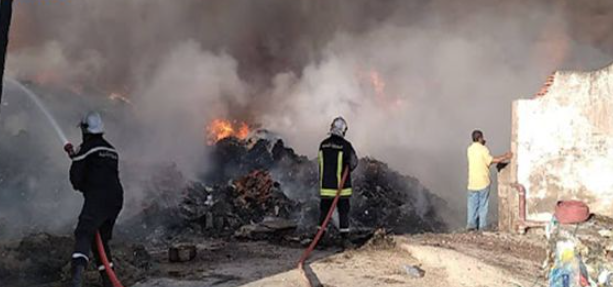 Zaghouan: Une usine de 10 mille mètres carrés ravagée par un incendie