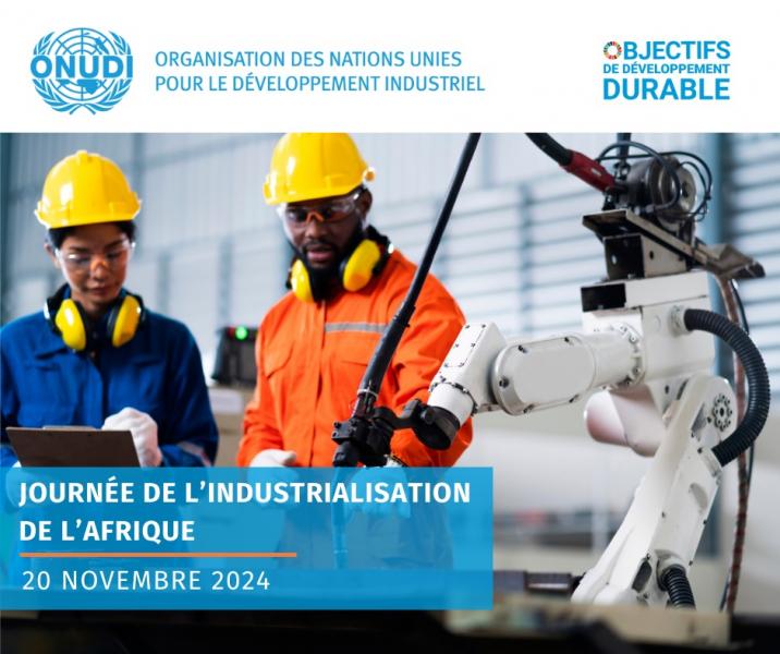 Journée de l'Industrialisation de l'Afrique: l'ONUDI réaffirme son engagement pour un développement industriel inclusif et durable en Tunisie