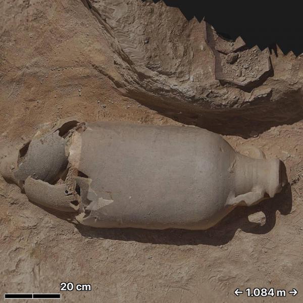 INP : Nouvelle découverte archéologique mise au jour à Sbiba (Kasserine)