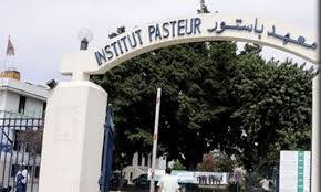 Test RT-PCR Covid-19 à l’Institut Pasteur de Tunis : Ce que vous devez savoir