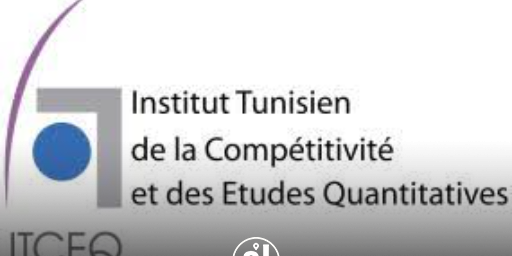 ITCEQ : Le pouvoir d’achat des ménages s’est nettement affaibli durant la période 2011-2022