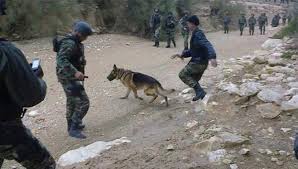 Un groupe de terroristes piégé par ses propres mines au Mont Semmama